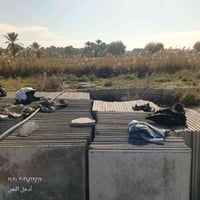 شتايكر • كرستة • كافة السطوح
