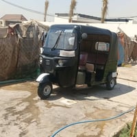 تكتك • نظيفه • اوراق معمره