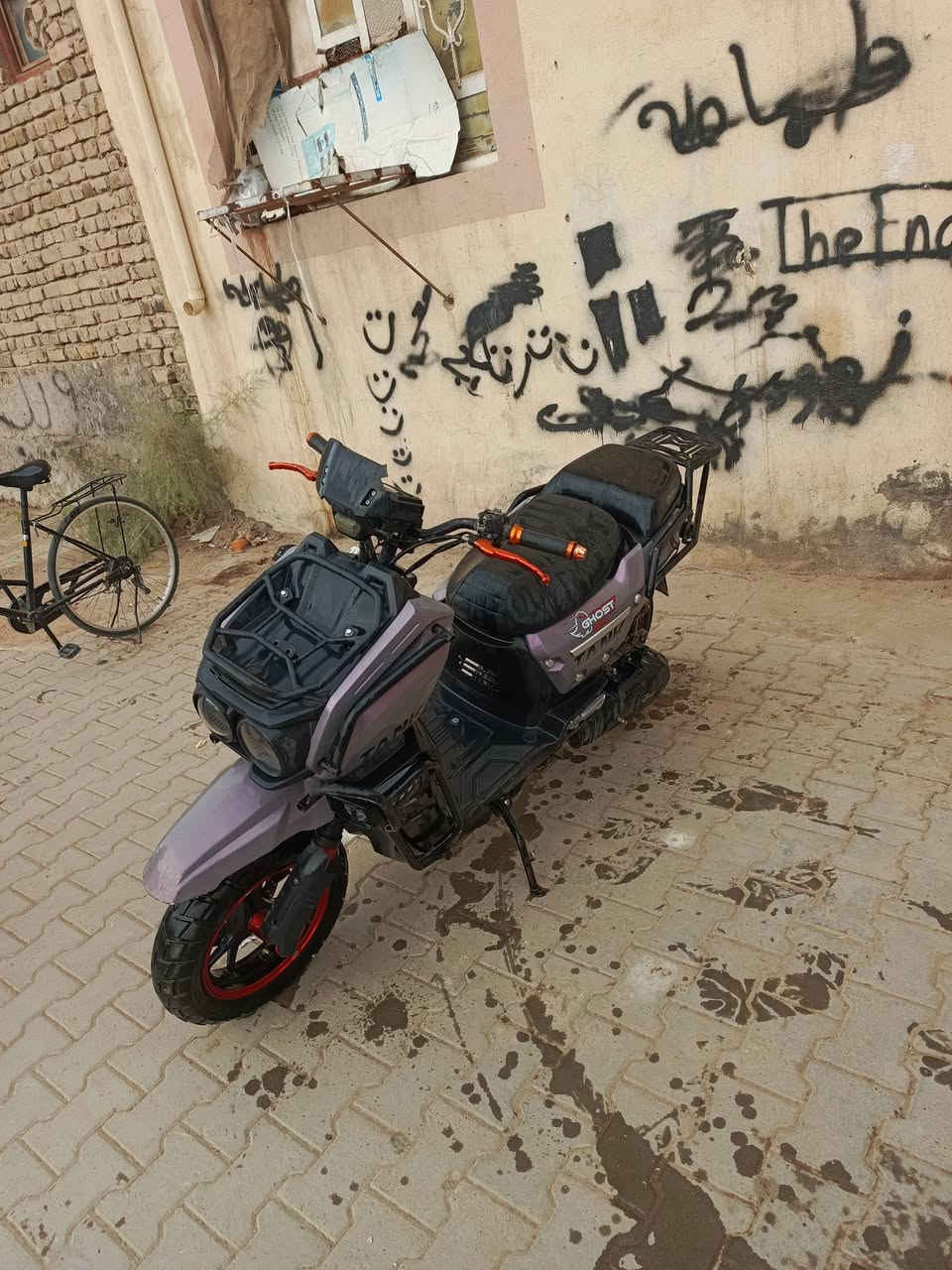 سكنس جبلي • ٢٠٢٥ • معدل فول