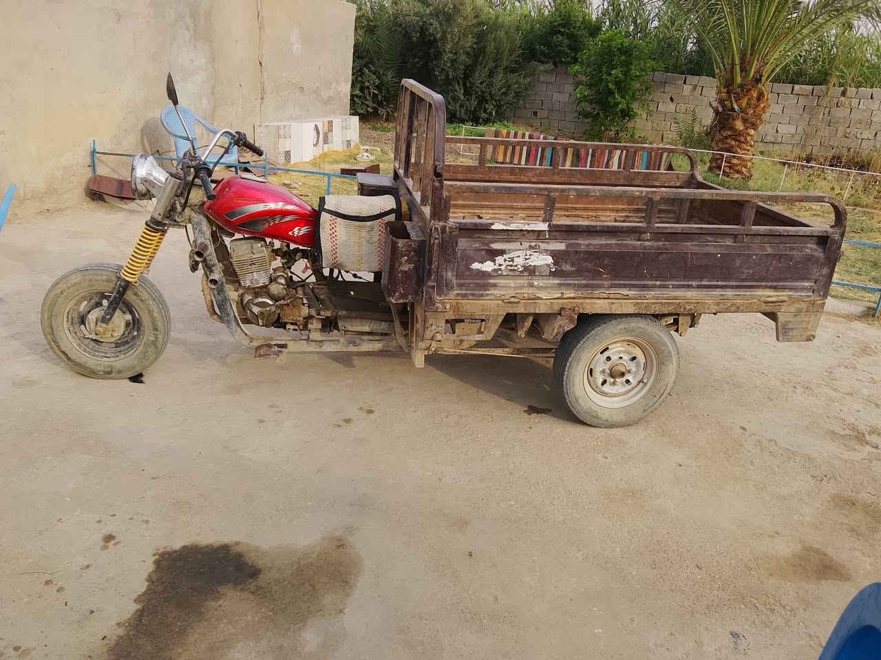 ستوته • ٢٠١٠ • شاصي مكفول