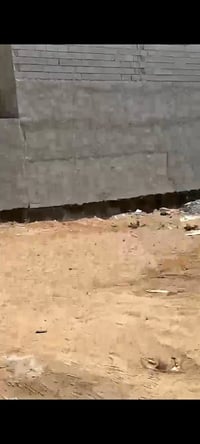 البصرة • الجزيرة الفيروزية • 150م