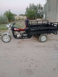 ستوته • جاهزه • كلك مكفوله