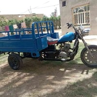ستوته • موديل 14 • مكفول