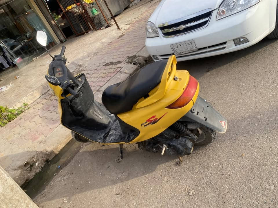 فراشة • شغال • للبيع