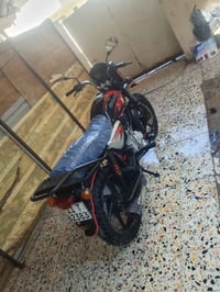 بوكسر جبلي • ٢٠٢٣ • كفاله