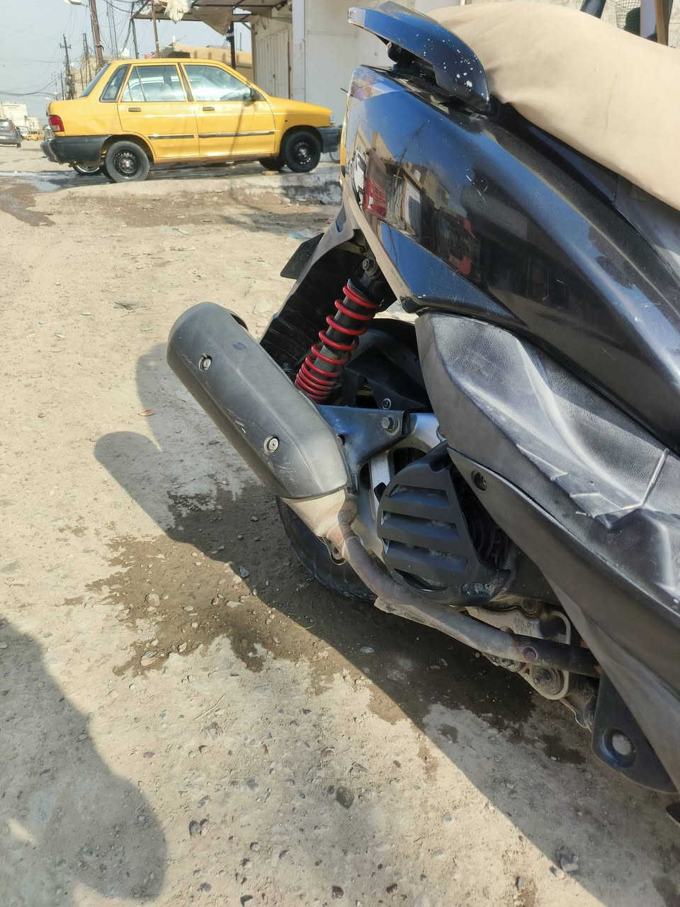 ثعلب • كفاله • فول مواصفات