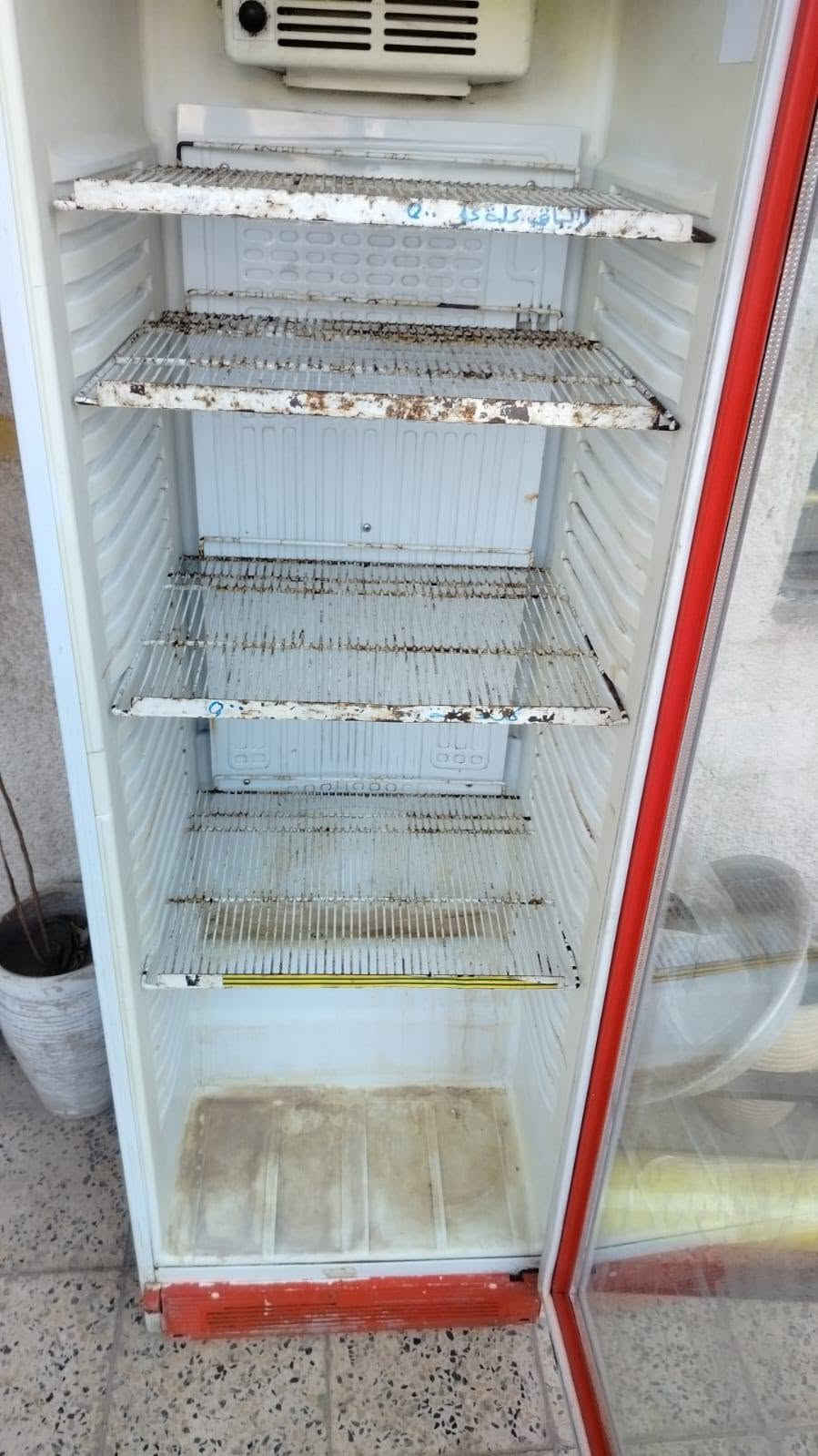 طباخ فلافل • معدات مطاعم • عارضه نضيفة