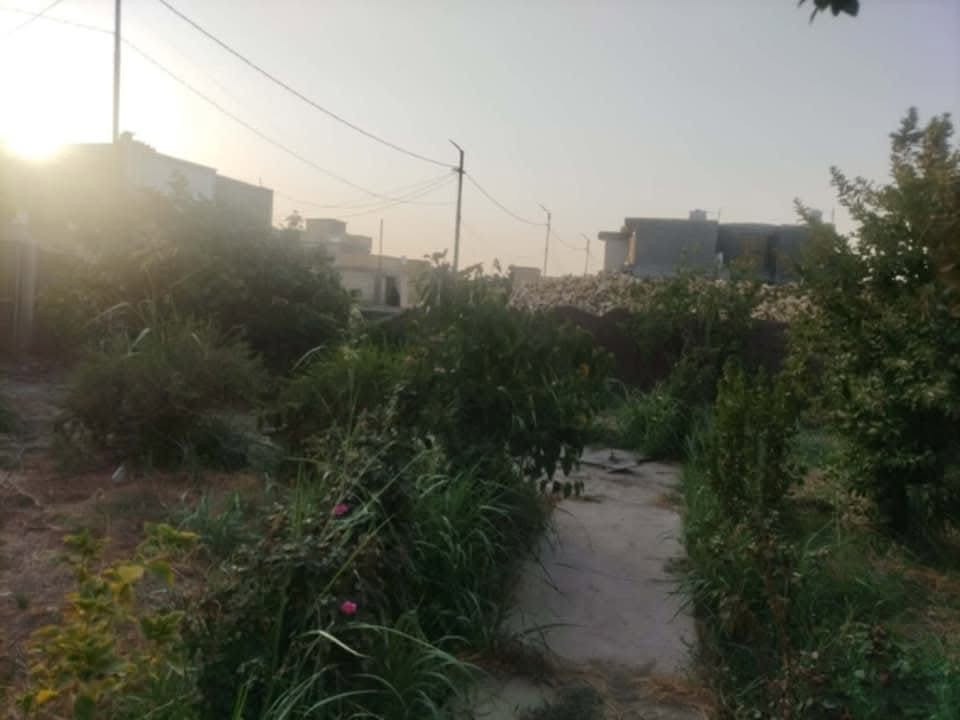 قطعة للبيع ٤٠٠م طابو زراعي سند٢٥ ملك صرف في حي العباس مقابل عمود ٣٠١ قرب سيطرة ام الھوى تحتوي على كافة الخدمات من ماء وكھرباء وتبليط محاطة بسياج وتوجد غرفةمساحة ٦في٦  وصحيات ومزروعة اشجر فواكة وضليات 
يمكن بيع ٢٠٠م منھا 
الاستفسار الاتصال بالرقم ***********

