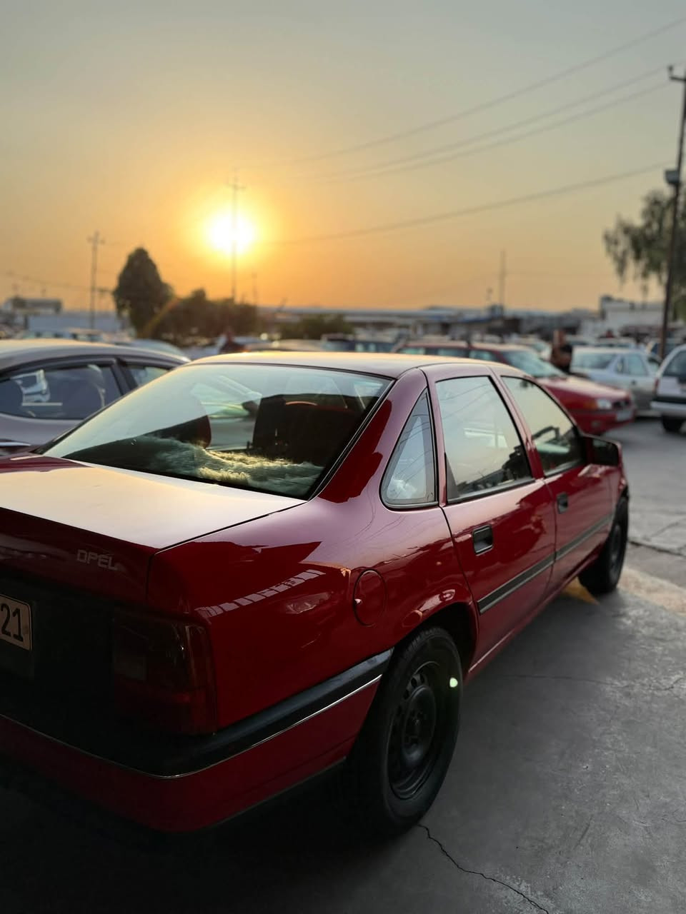 فيكترا • ١٩٩٢ • رقم اربيل