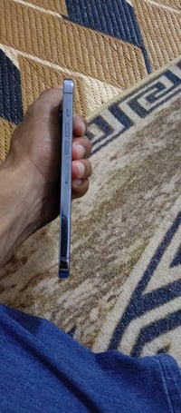 آيفون 13 برو ماكس • ٢٥٦ جيجا • بطارية ٨١%