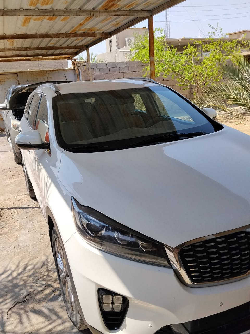 سورنتو 2019بصره تحويل على ايد وحده من هي زيرو ماشيه 105رقم بصره فول مواصفات عدا الفتحه جلد بلادي جوزي السعر 220وبيها مجال قليل للاستفسار الاتصال ***********او ***********
