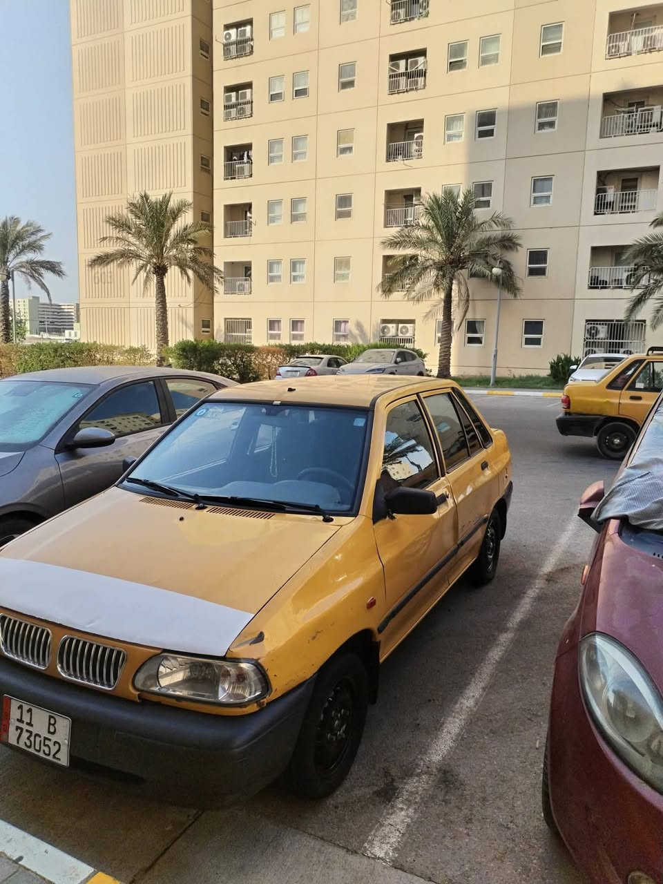سايبا • صفراء • مسيب