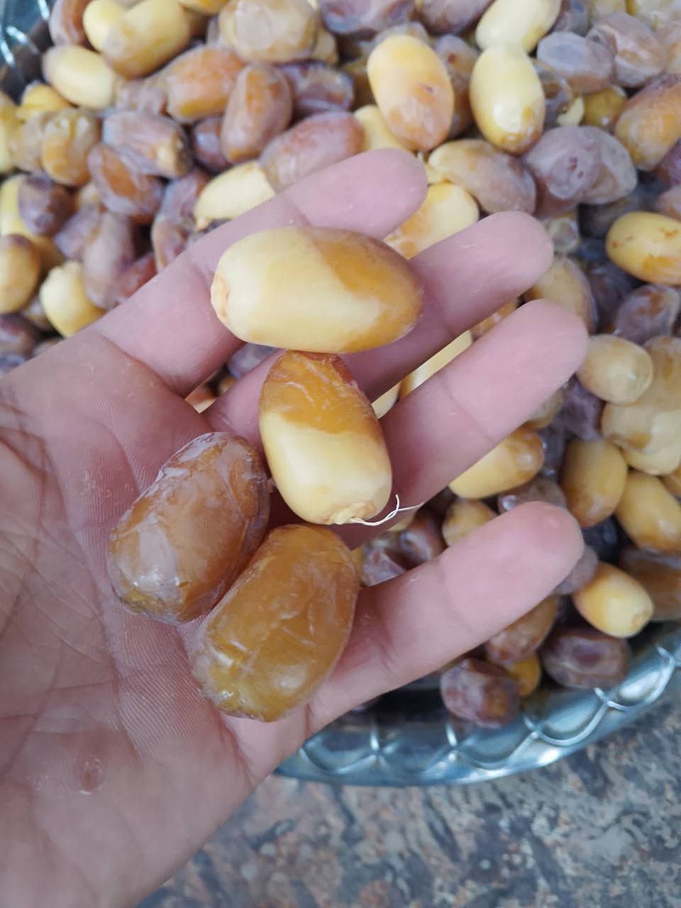 متوفر فسائل شويثي استعمران شكرر خضراوي مندلي مكان الرفاعي 
***********
