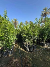 للحجز • استفسار • اتصال