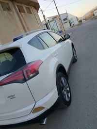 راف فور • ٢٠١٨ • وارد خليجي