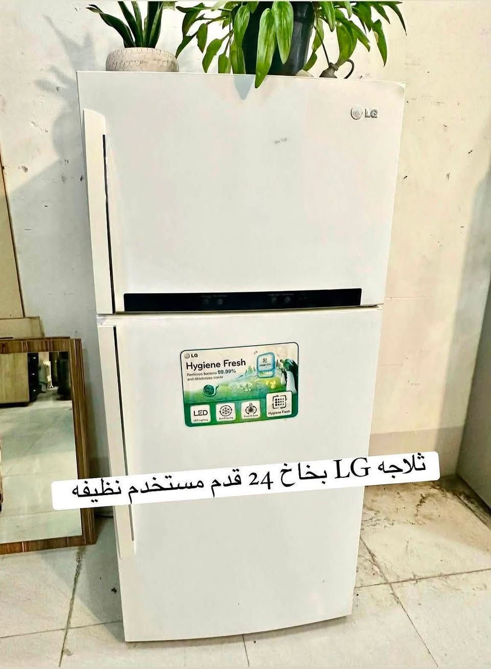 جديد وحصري 💯💯💯ارقى وأنظف الاغراض المنزليه المستخدمه
الاستفسار ع الخاص او واتساب فقط📍📍 
✅*********** واتساب
📞*********** زين
عنوان / اربيل / داره توو  
الفرع الثاني كورنيش فرمان بران 🚚 🚚

=
"

