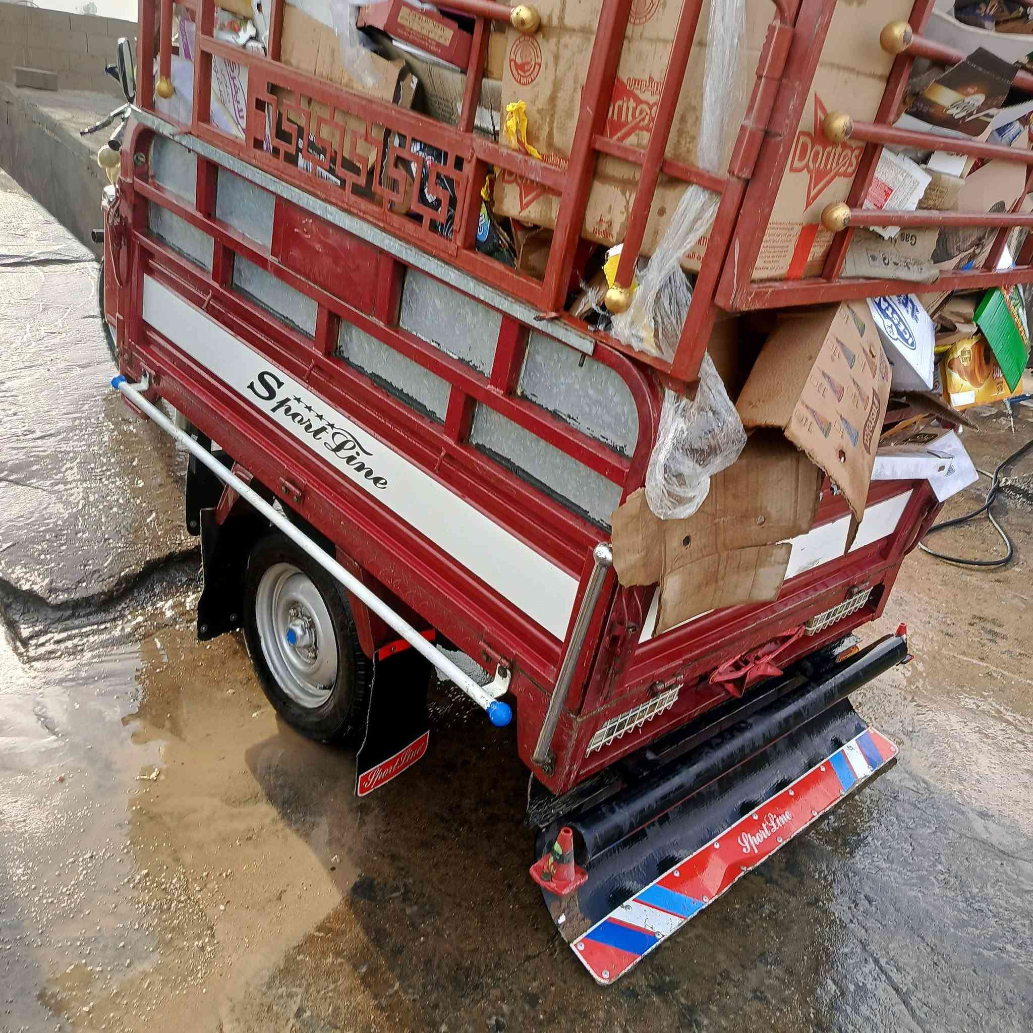 ستوته • ٢٠٢٣ • بدون محجل