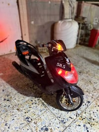 سكنس فحل • مفوله • 58ونص