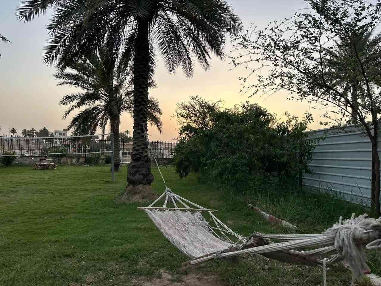 مزارع زعفران • إيجار • الزعفرانيه