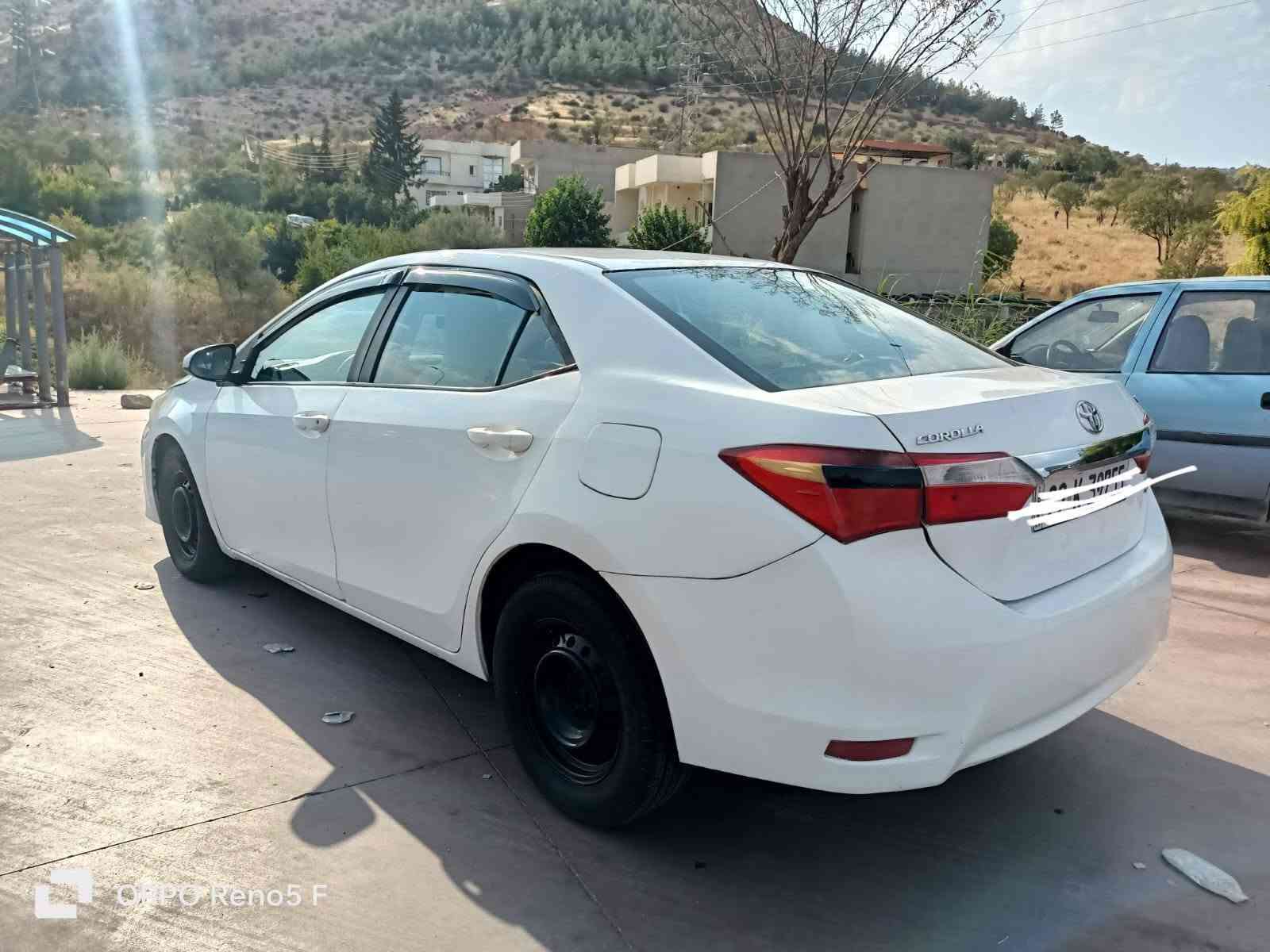 ٥ قطع صبغ • حزام • دهوك