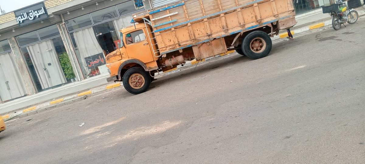 ابوردين • بلادي ٨١ • واتساب