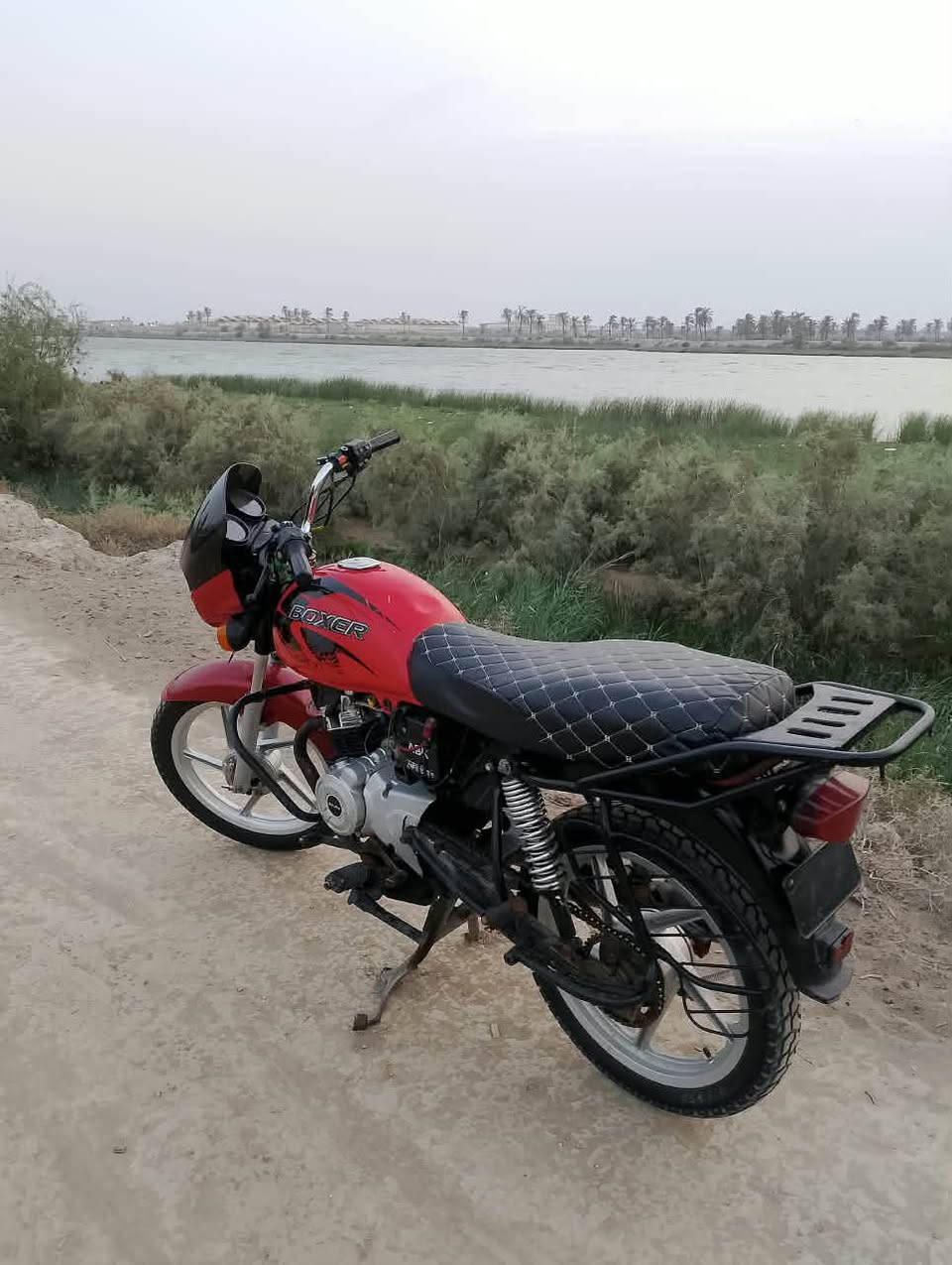 بوكسر • حمرا • اوراق اصولية