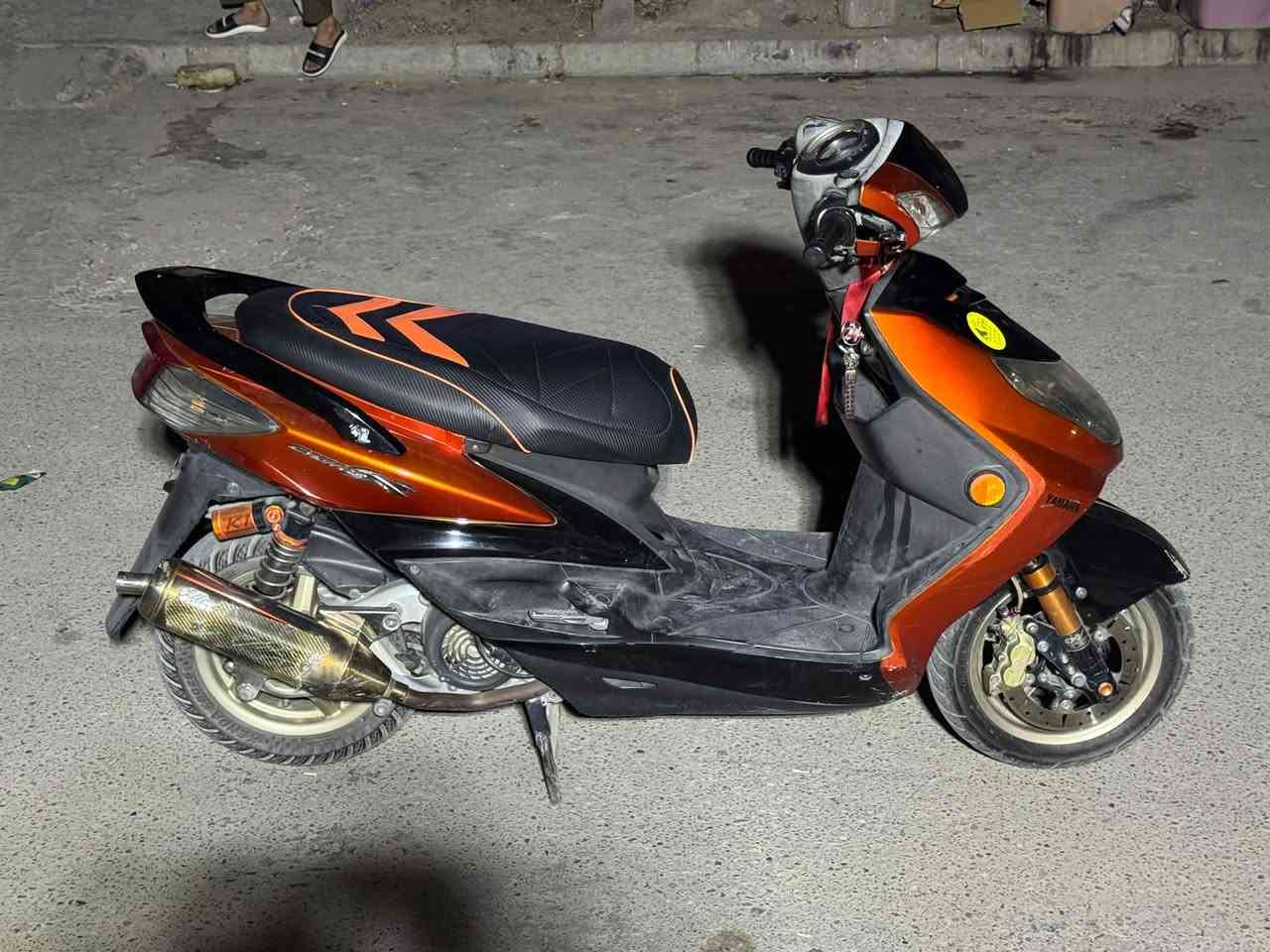 سكنس فحل • لايت زنون • ماشية ٢٤