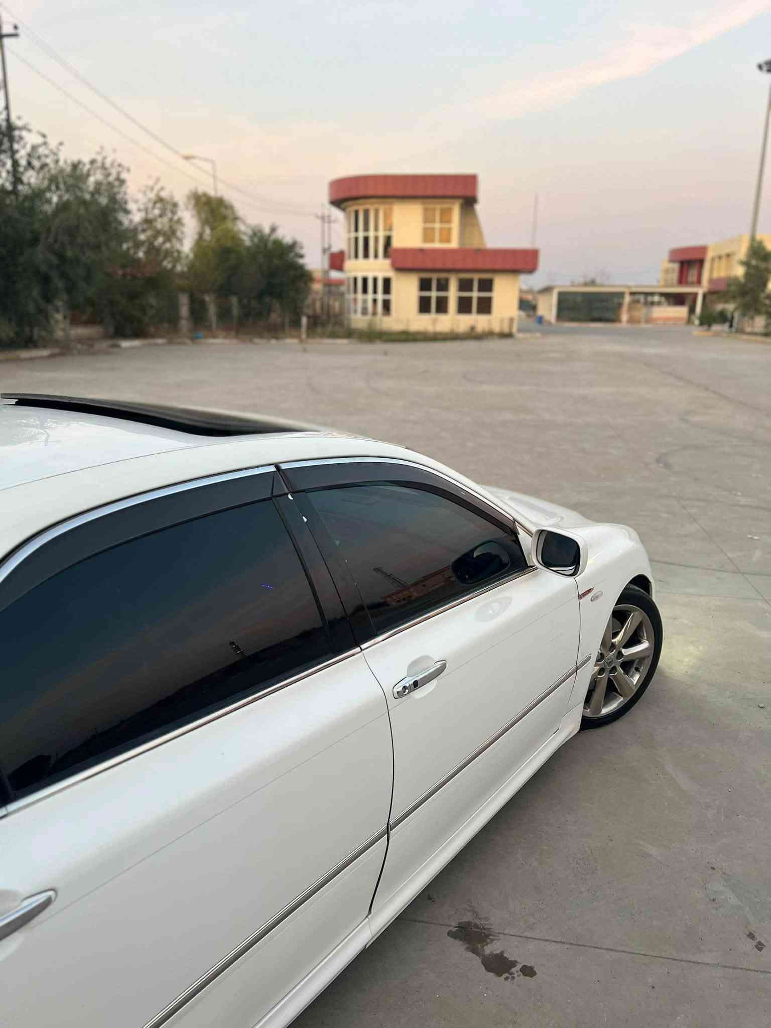 شاهين • ٢٠٠٨ • زينون كامل