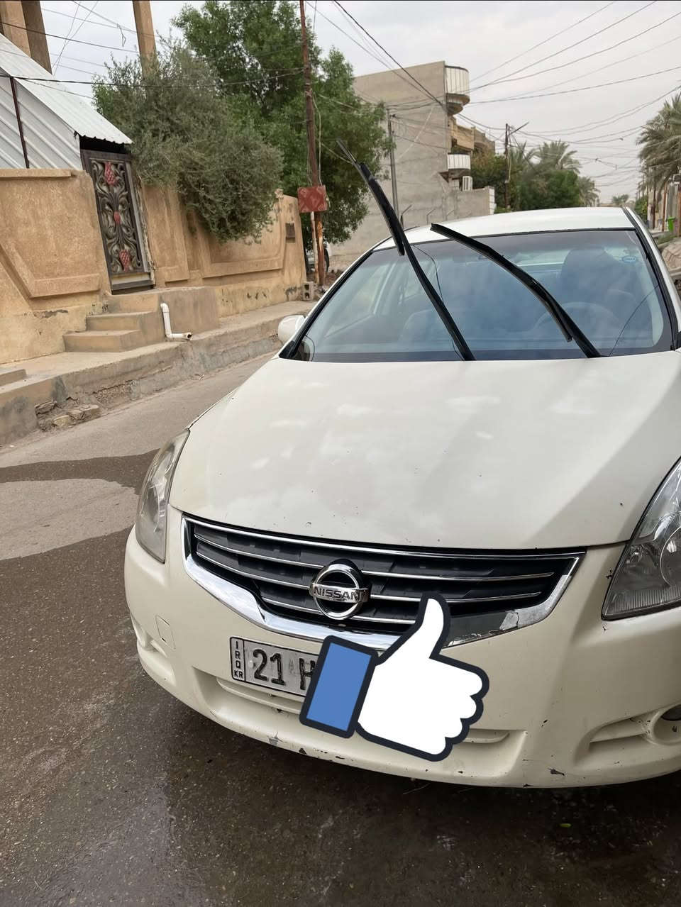 التيما • ٢٠١٢ • رقم سليمانية