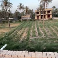 ٤ دونم • ٤ بيوت مؤجرة • هيكل ٢٧٠م