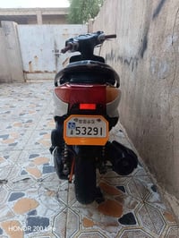 سكنس جبالي • نضيفه • اوراق كامله