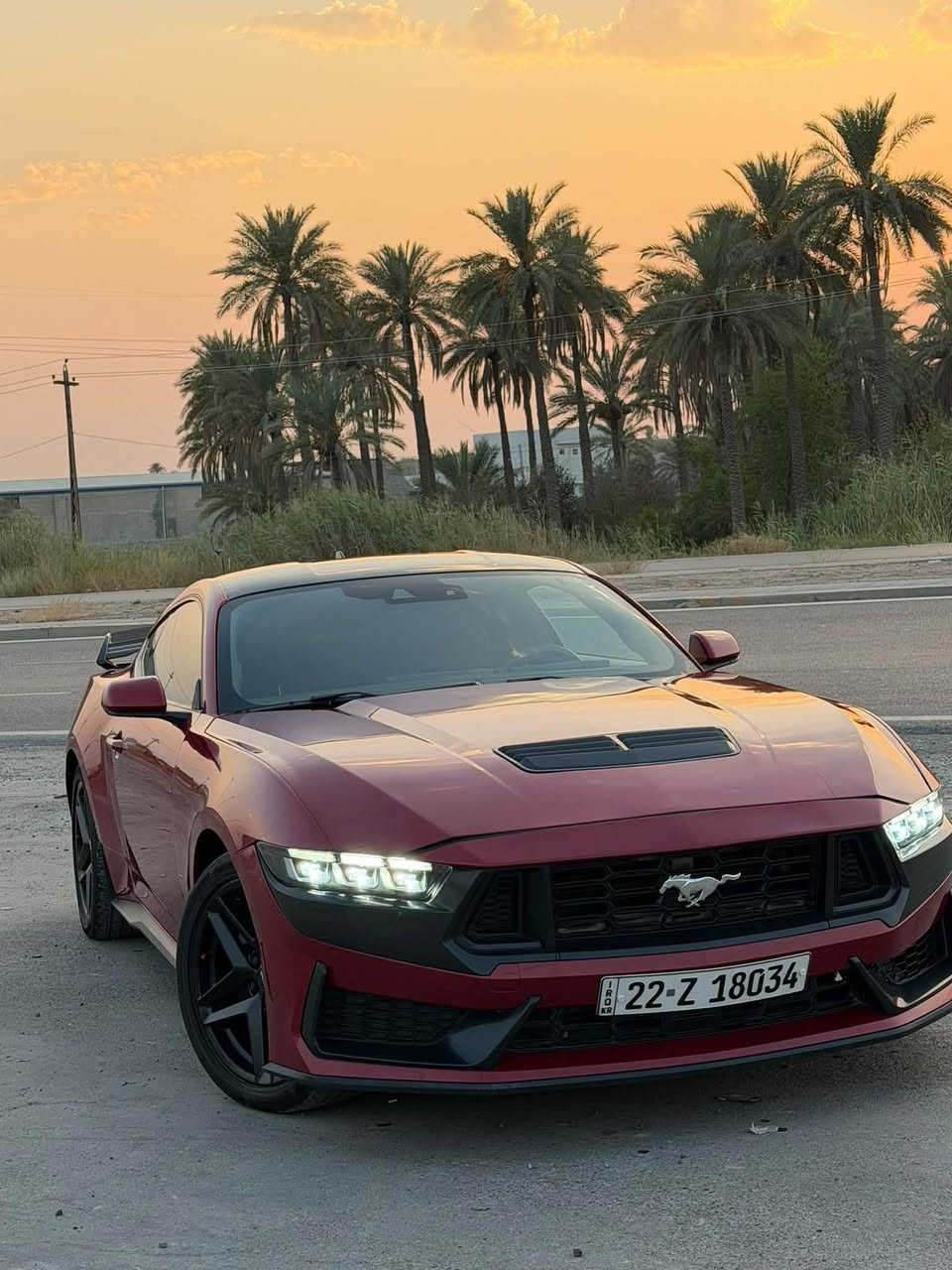 موستانغ ايكو • ٢٠٢٤ • ٢٠٠٠٠ ميل