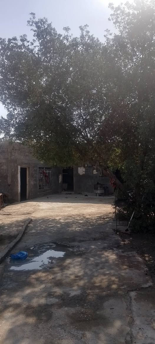 بيت للبيع مع مشتمل مساحة 400 للبيع عنوان حي الجهاد الزنابرة للاستفسار أتصل ***********

