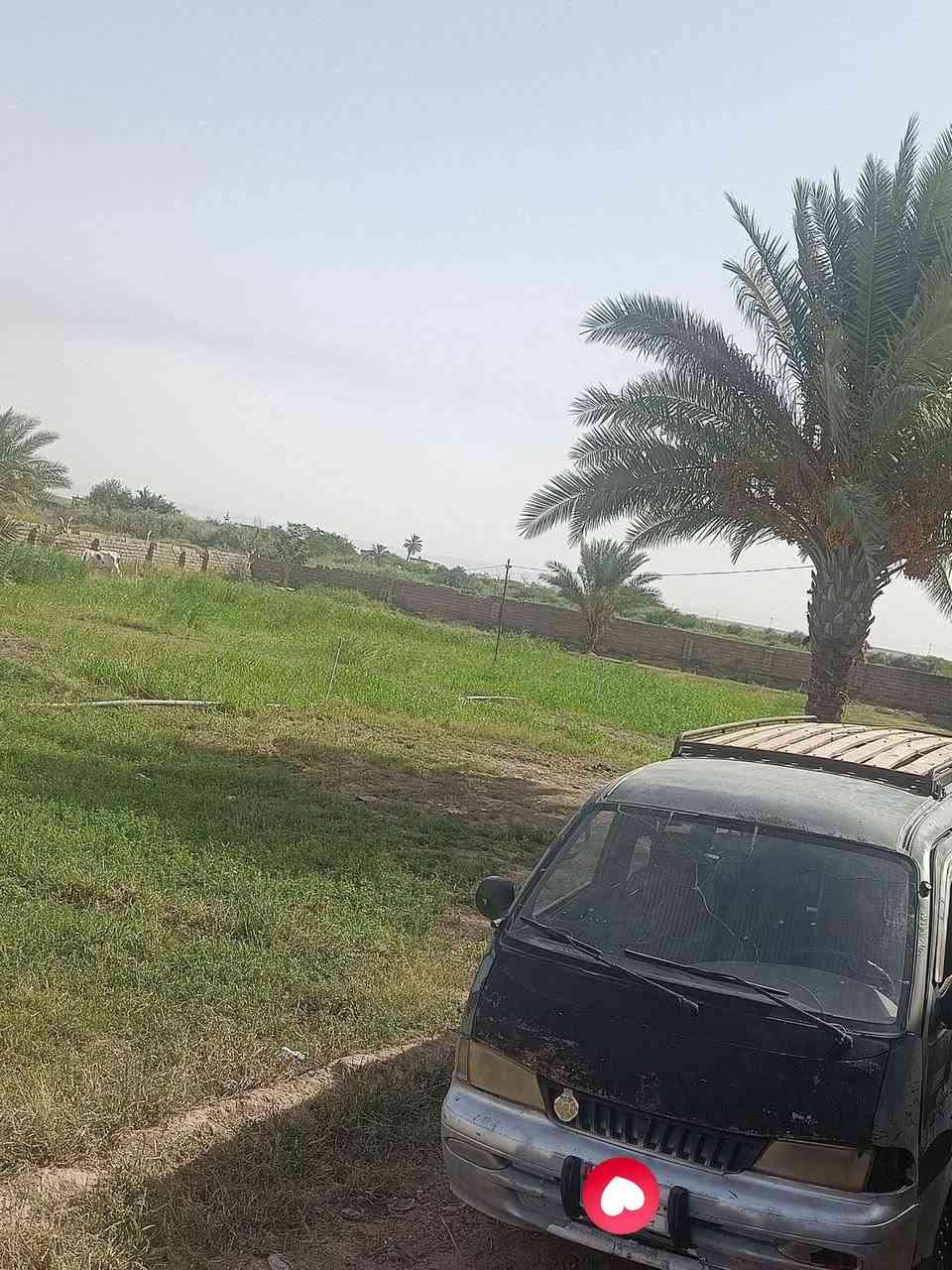 كيا بريجيو • محرك وكير شرط • رقم الماني