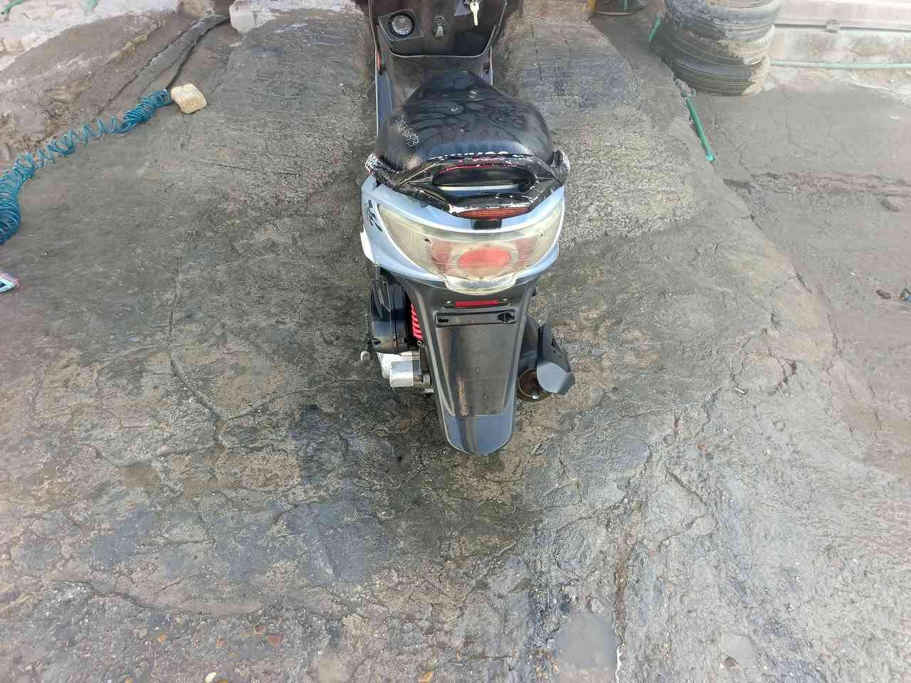 دراجه • للبيع • نجف