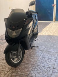 ماجتستا • وضع شركه • مامفتوح