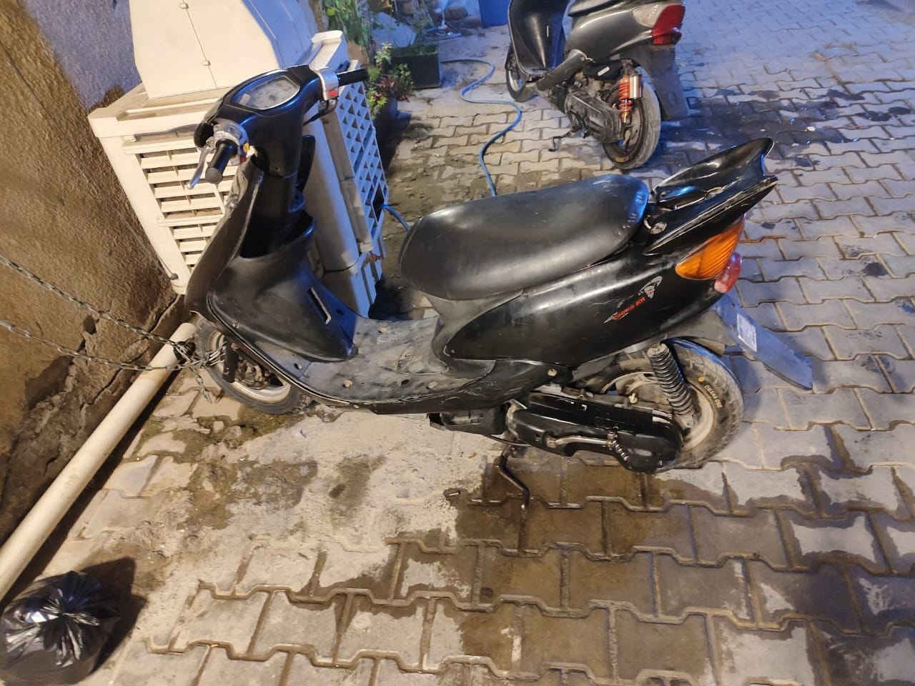 عصفوري مجنح • دراختين • شغالات