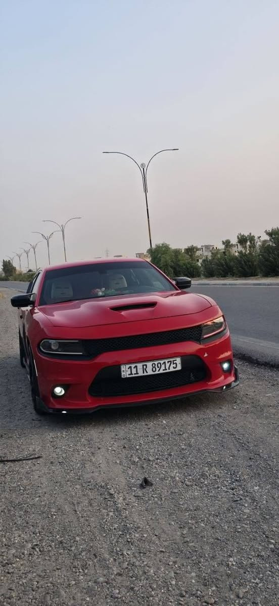 السلام عليكم ورحمة الله وبركاته
جارجر RT للبيع 
مكينه 5700🔥
موديل 2018
حادثها  جاملغ الامامي وبنيد  
كير طياره شاشه كبيره تحكم سرعه مري هيتر كشنات حضن مود srt حداديه نافضها كلها قبل سبوع 
شاشه كبيره كامره دواره رقم بغداد دولي بسمي 
محرك وكير  مكفول تبريد ثلج  وتدفئه  شغال ويل نجمه خسفه قويه لايت زنون 
مكاني بابل 
للاستفسار الاتصال على الرقم 
***********
