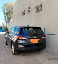 ايكينوس • نص فول • بلا صبغ