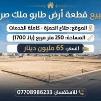 طلاع الحمزة • ٢٥٠م • طابو ملك صرف