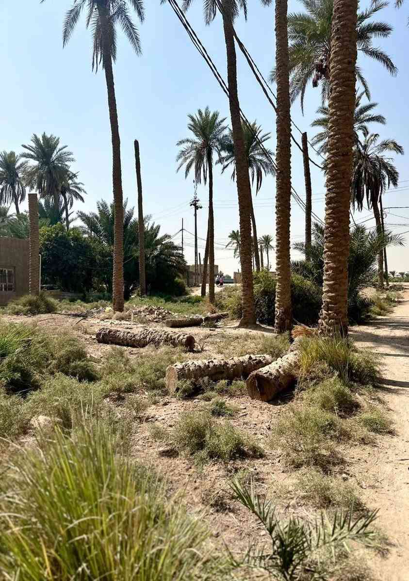 السلام عليكم قطعه ارض للبيع زراعي طابو سند 2025 واجه 10متر و الطول 67متر للاستفسار اتصل على هذا الرقم ***********
