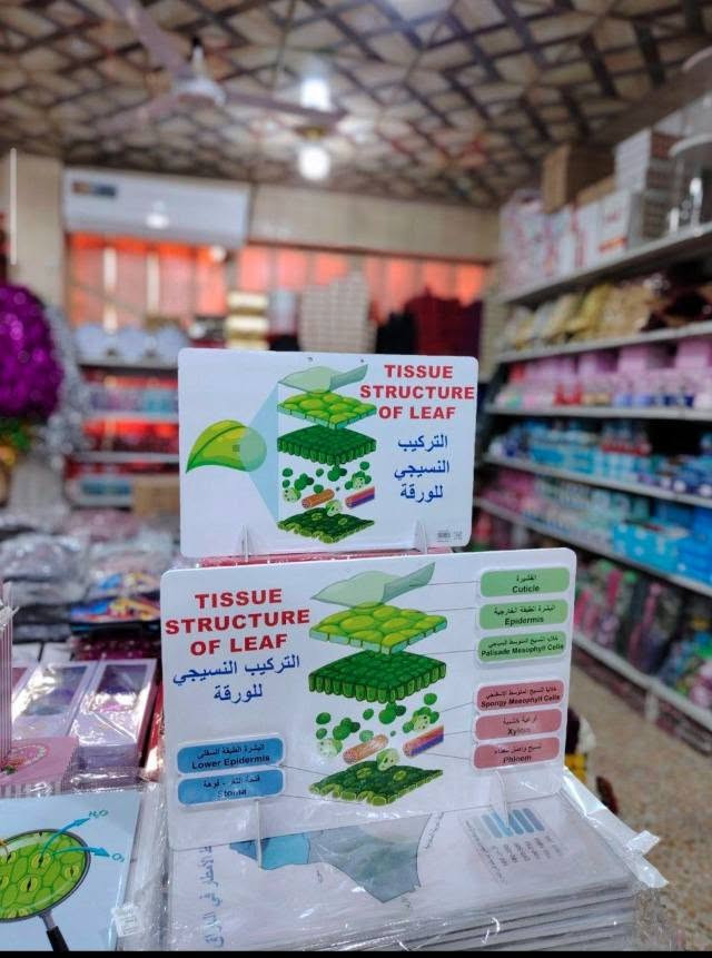 فوم مجسم • الانبار عنه • توصيل مجاني