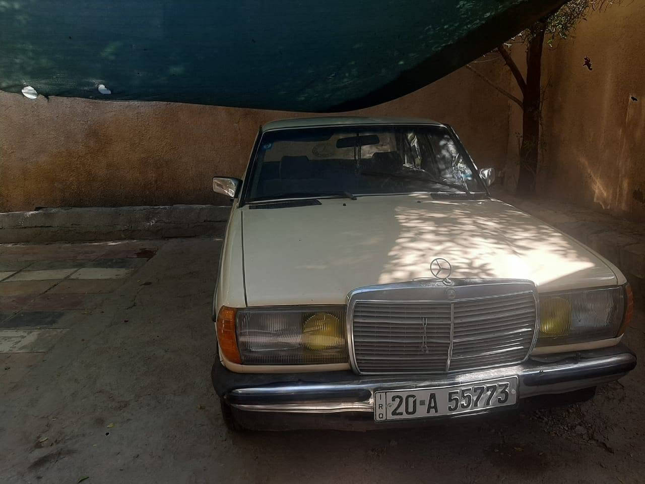 مرسيدس ابو جحيل موديل ٨٤ رقم ديالى انكليزي تحويل ثاني يوم سياره انتيكه جاهزه من كلشي استفسار اتصال***********
