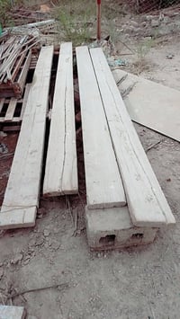 دوس سكله • للبيع • فيسبوك واتساب