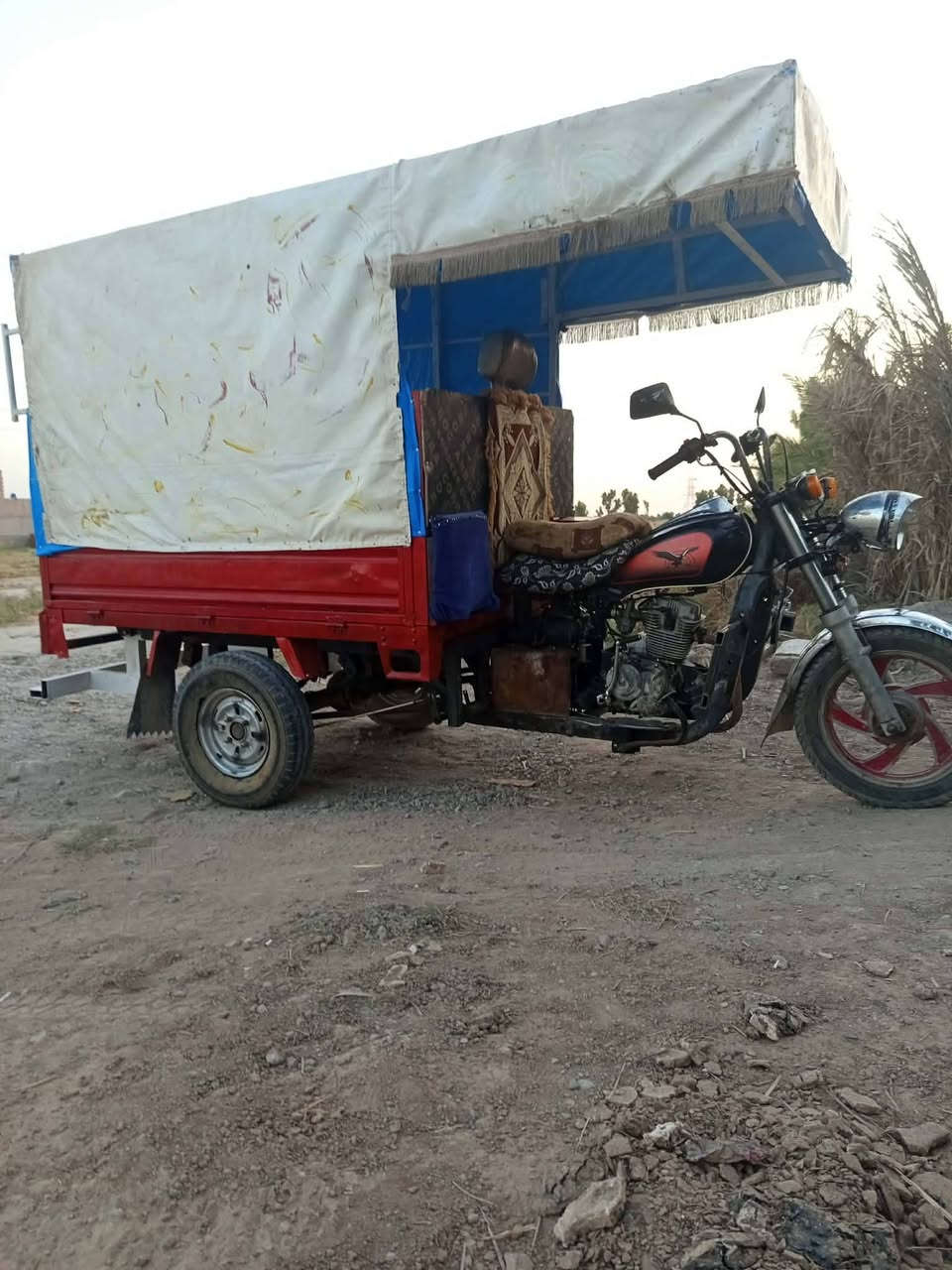 ستوته للبيع جاهزه اي نقص مابيهه مكانه ديالى دلي عباس السعر 850 اتصال هاذه الرقم ***********
