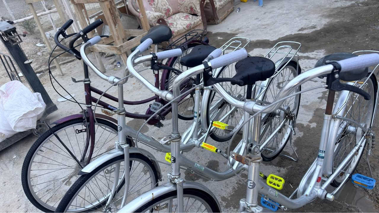 باسكلات • نضاف • النجف