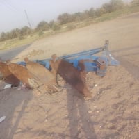 فدان ١٦ • دسك ٢٠ • باذره