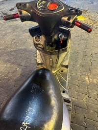 سكنس فحل • كوري • كابريتر