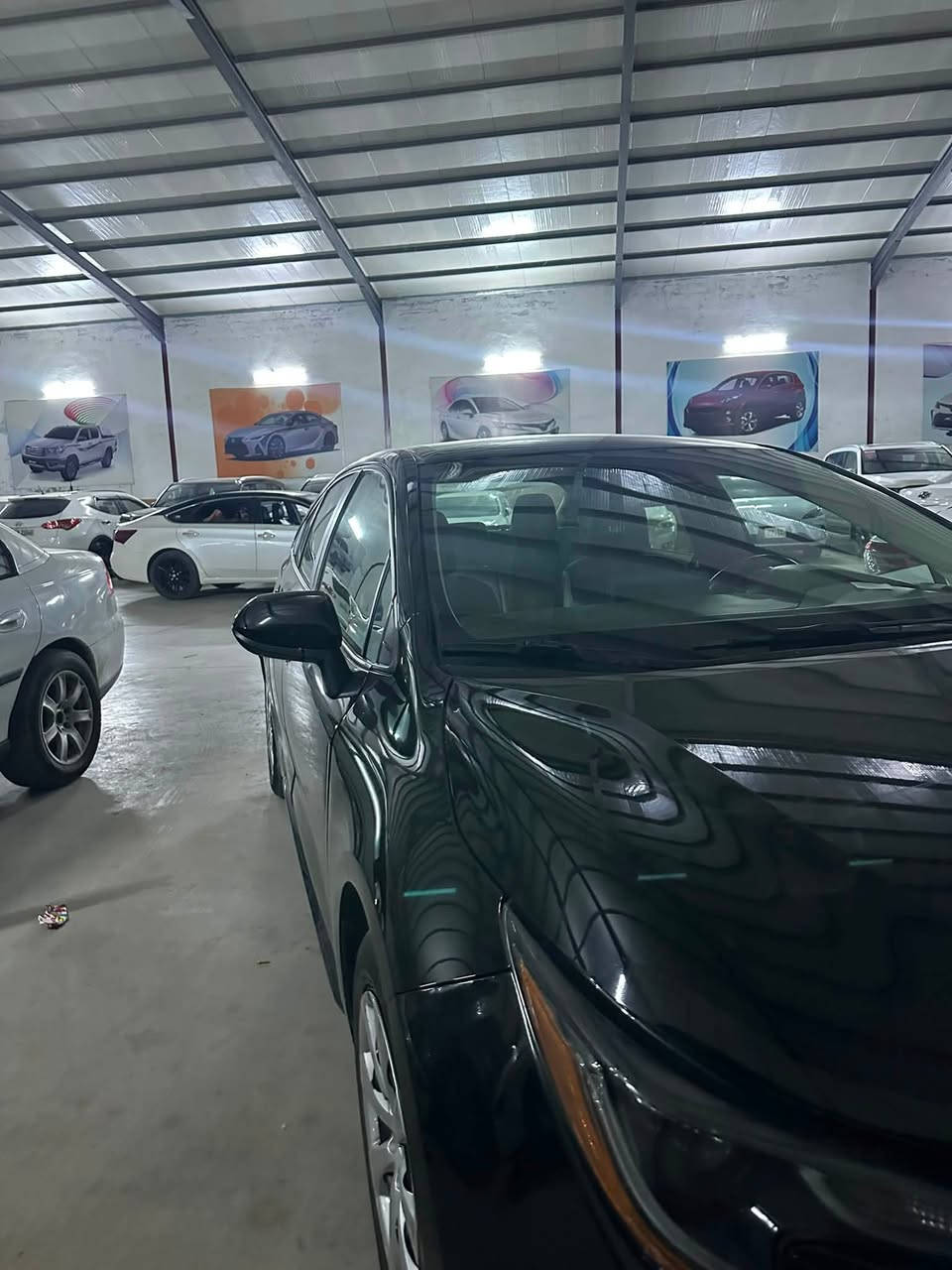 اقساط اقساط اقساط
مقدمه 65 وكل شهر 3 💸

كورلا موديل 2025 🚗

اكلين تايتل 🚗

ماشيه 50 الف 🚗

فول ماعده الفتحه 🚗

شاشه جبيره 🚗

كير محرك شرط 🚗

تبريد ثلج ❄️

تدفئه نار 🔥

ارقام تستلم الماني مسطره الجديد 🚗

للاستفسار عبر الأرقام ☎️

*********** اتصال واتس 📲

*********** اتصال فقط 📞
