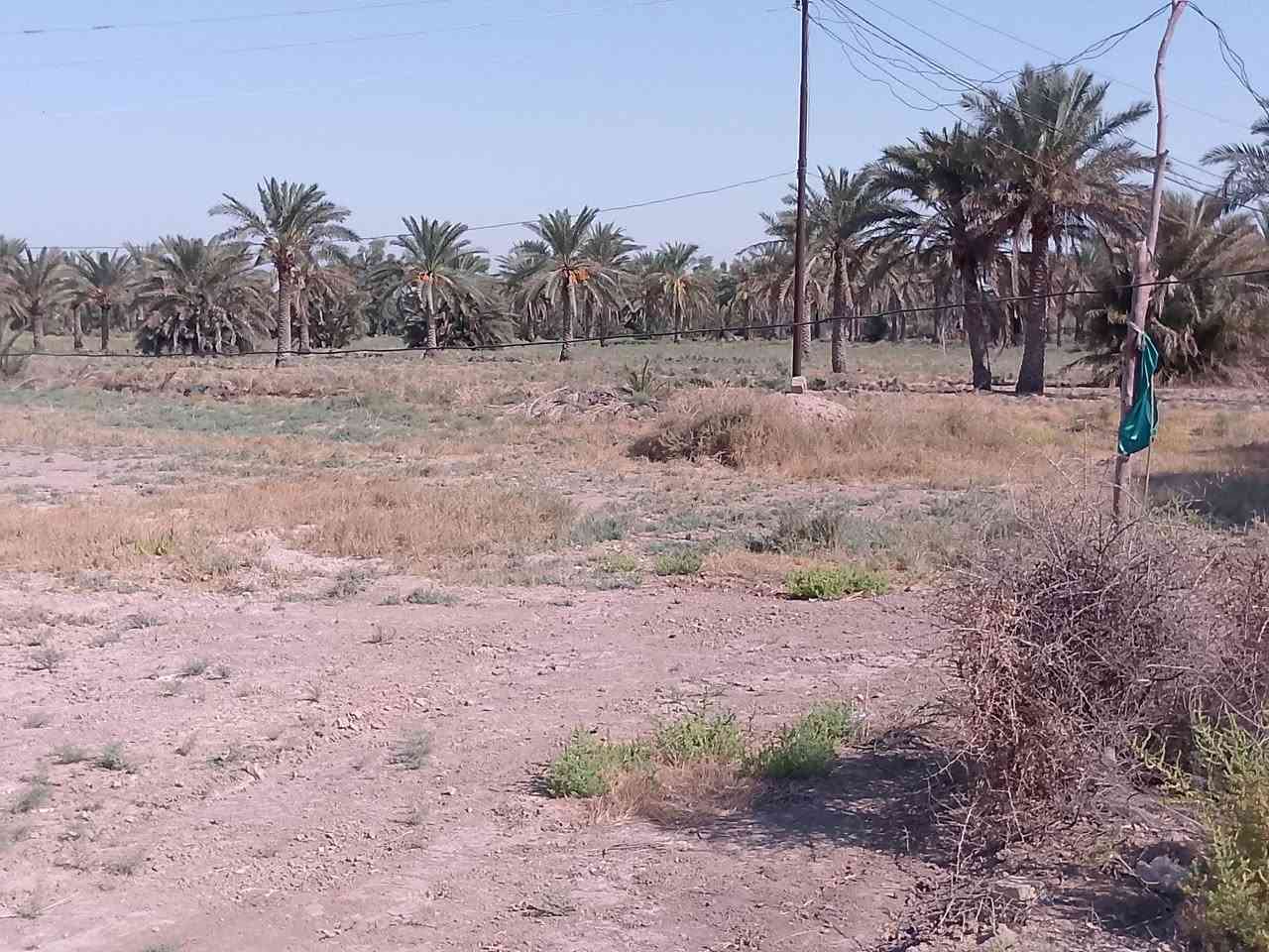 يا الله سلام عليكم
ارض زراعيه مي اساله وكهرباء ومي سكي كله متوفر
١٤ دونم تقع في العزيزيه منطقت عويد العبعوب 
تريده سكن تريده زراعه 
***********

